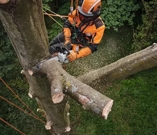 STIHL MSA 220 TC-O Akku-Kettensäge 36V – Profi Topgriff-Säge – Image 3