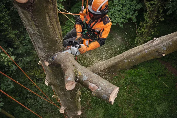 STIHL MSA 220 TC-O Akku-Kettensäge 36V – Profi Topgriff-Säge