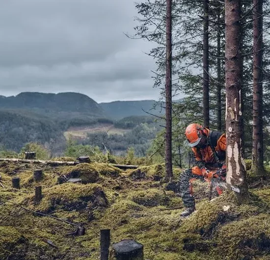 Husqvarna 540 XP® Mark III