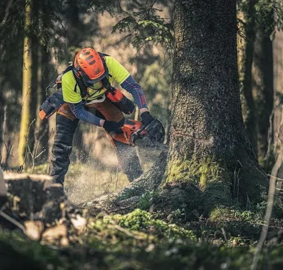 Husqvarna 560 XP G Kettensäge 59,8 cm³ – RevBoost & Griffheizung 38 cm – Image 3