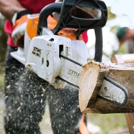 STIHL MSA 160 C-B – Akku-Kettensäge 36V leise | Ohne Akku – Image 2