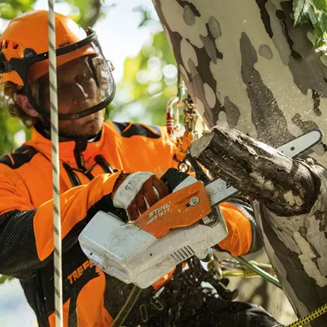STIHL MSA 161 T – Akku-Top-Handle-Säge 36V leise | Ohne Akku – Image 3