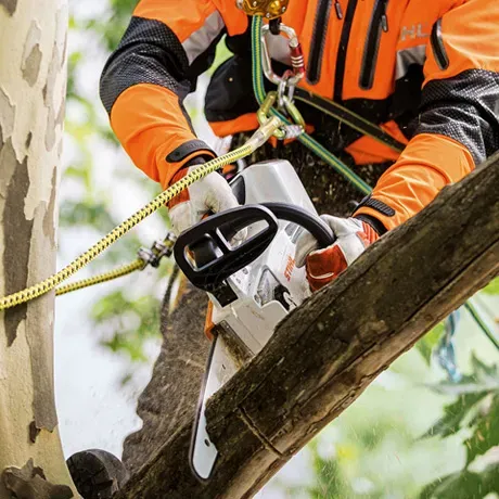 STIHL MSA 161 T – Akku-Top-Handle-Säge 36V leise | Ohne Akku – Image 4