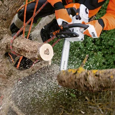 STIHL MS 201 TC-M Kettensäge – 1,8 kW | Stärkste Profi-Topgriff-Säge – Image 3