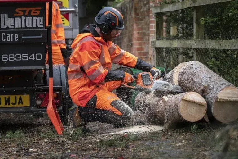 Husqvarna T540i XP – Leistungsstarke Akku-Hochentaster 36V mit Husqvarna Connect und bürstenlosem Motor