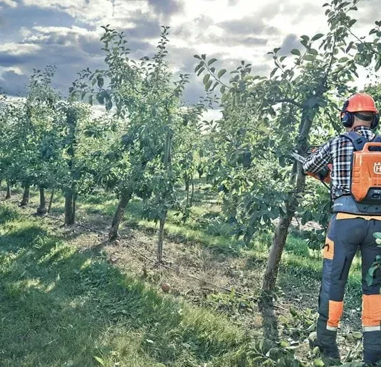 Husqvarna 535i XP