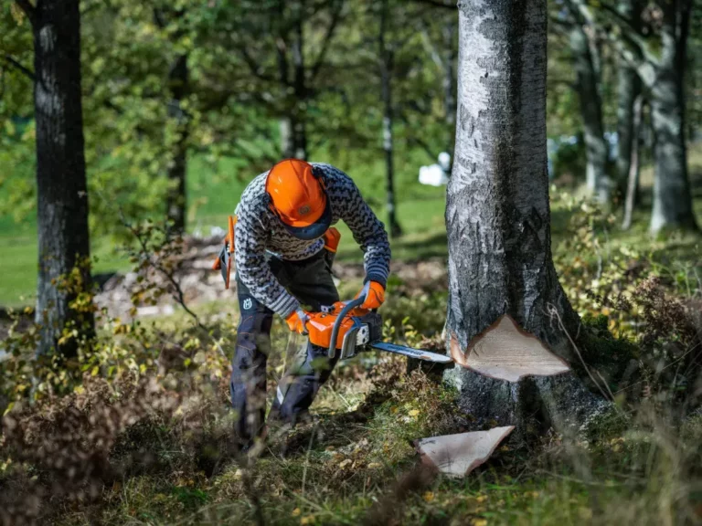 Husqvarna 120i