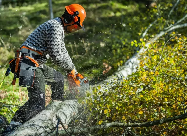 Husqvarna 450S – Kettensäge 50,2 cm³ für Waldbesitzer und vielseitige Forstarbeiten